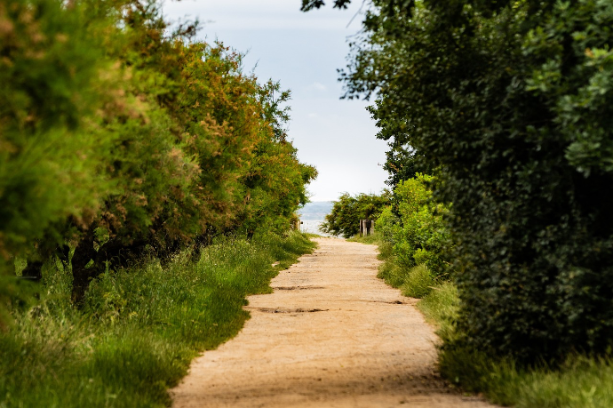 sentier-randonnee-bassin-audenge.jpg Randonnée sur un sentier nature à Audenge, entre forêt et bassin