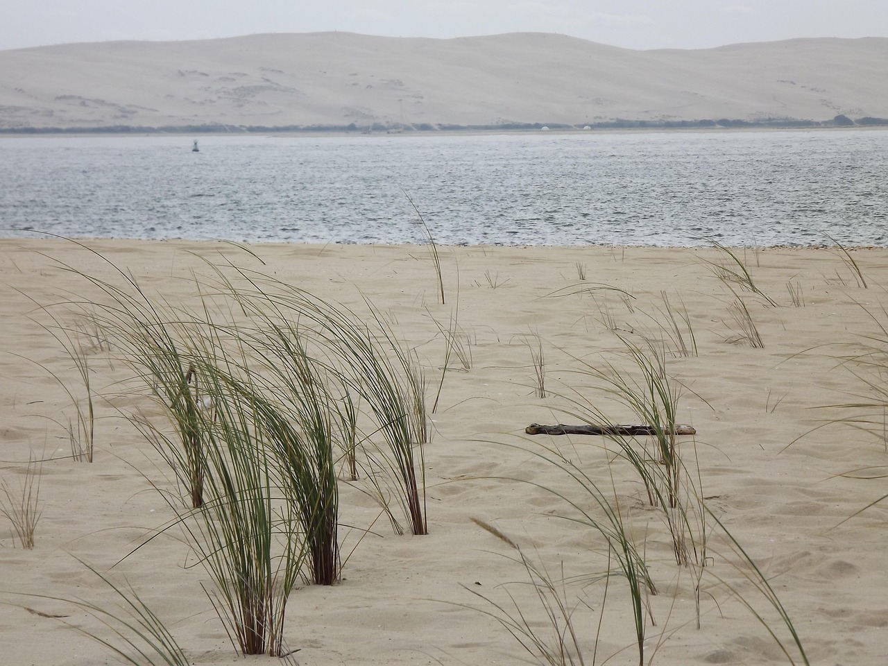 dune-pilat-matin-vue-cap-ferret.jpg Lever de soleil depuis le Cap Ferret avec vue sur la Dune du Pilat