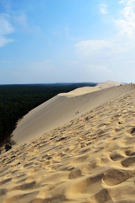 Flanc est de la Dune du Pilat avec vue sur la forêt landaise
