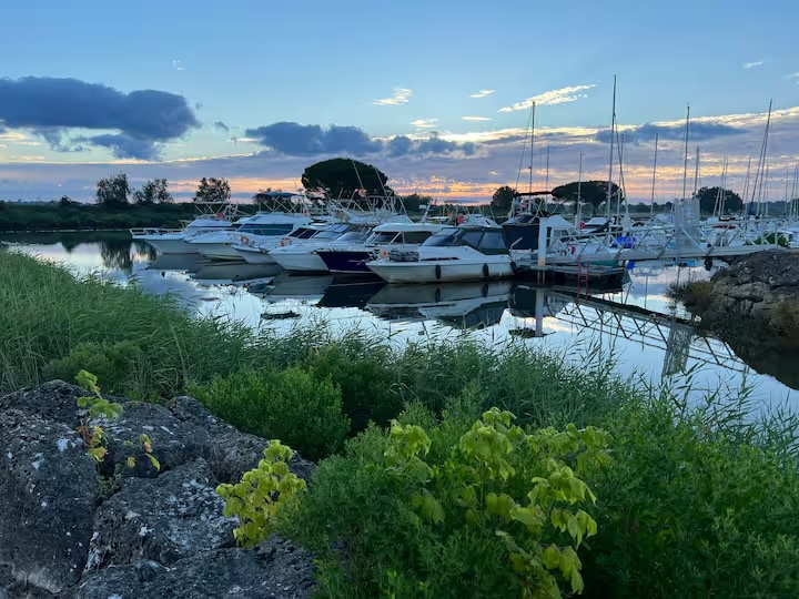 port-le-teich-bateaux.jpg Bateaux de plaisance au port du Teich, départ idéal pour explorer le bassin