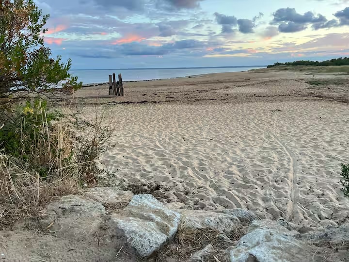plage-parc-ornithologique.jpg Plage sauvage près du Parc Ornithologique du Teich, refuge naturel pour oiseaux migrateurs